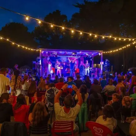 Campsite Zecamping Chiens Acceptes Espace Aquatique Et Bar